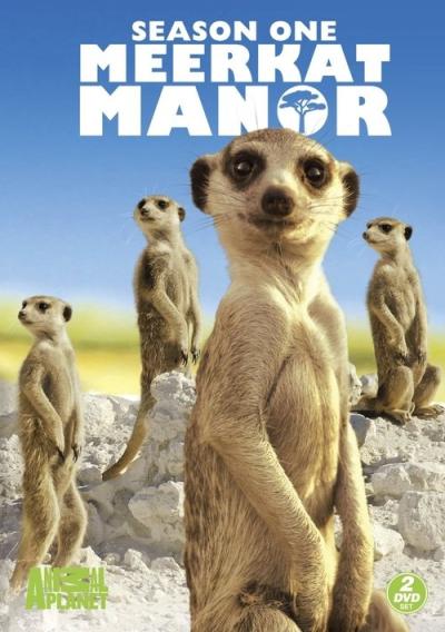 Meerkat Manor filmas online