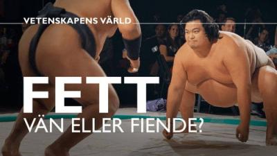 Vetenskapens värld