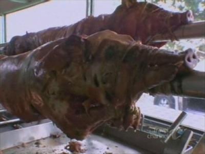 Anthony Bourdain: No Reservations