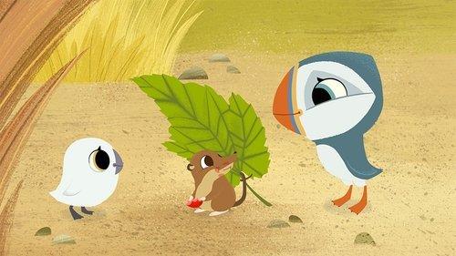 Puffin Rock filmas žiurėti online