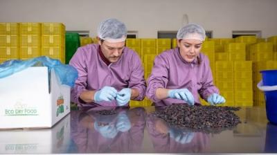 The Amazing Race Australia