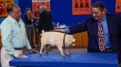 Antiques Roadshow