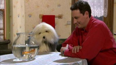 Samson en Gert