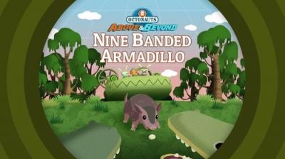 Octonauts: Above & Beyond
