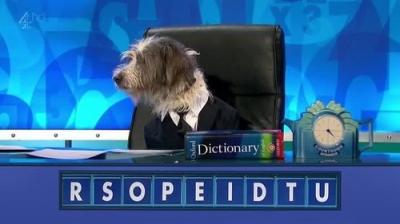8 Out of 10 Cats Does Countdown