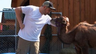 Nepraktiški juokdariai