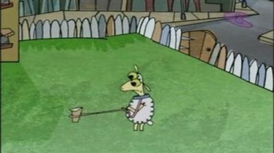 Sheep in the Big City