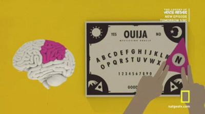 Brain Games