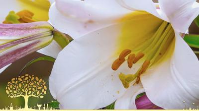 Gardeners' World