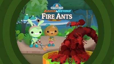 Octonauts: Above & Beyond