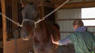 The Incredible Dr. Pol