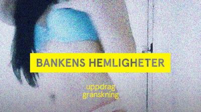 Uppdrag granskning