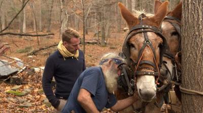 Ben Fogle: New Lives in the Wild
