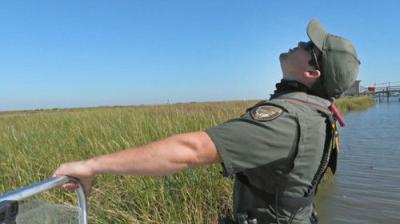Louisiana Law