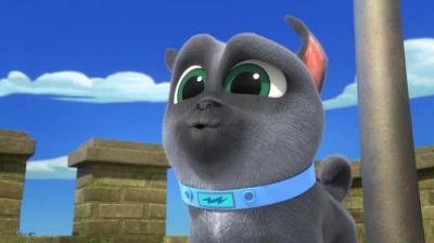 Puppy Dog Pals