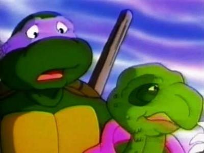 Teenage Mutant Ninja Turtles