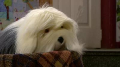 Samson en Gert