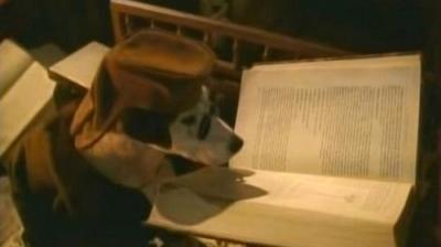 Wishbone
