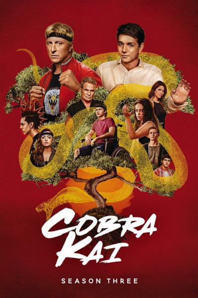 Kobra Kai filmas online