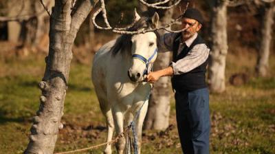 Yeşil Deniz