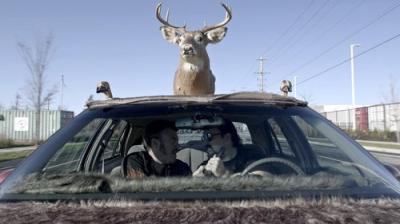 Trailer Park Boys: JAIL