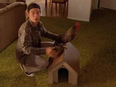 Corner Gas