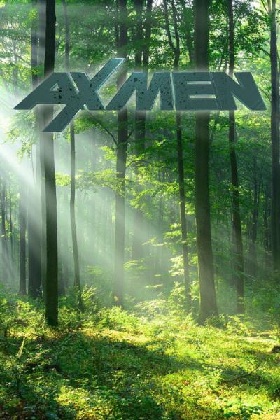 Ax Men filmas online