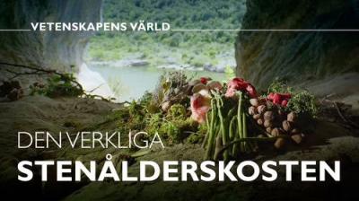 Vetenskapens värld