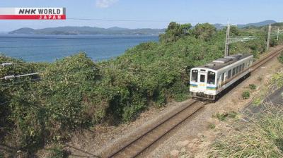Train Cruise
