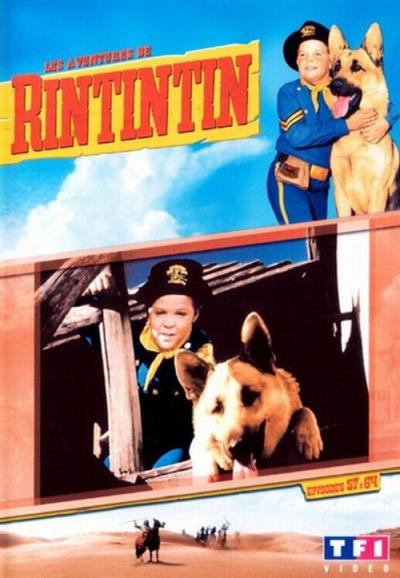 The Adventures of Rin Tin Tin filmas online