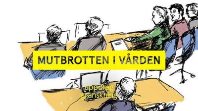 Uppdrag granskning