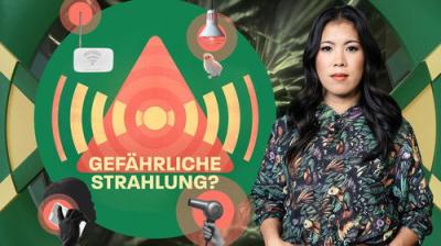 MaiThink X – Die Show
