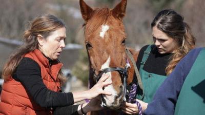 Dr. Oakley, Yukon Vet
