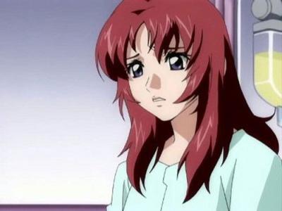 機動戦士ガンダムSEED