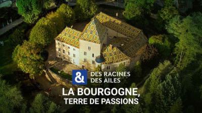 Des racines & des ailes