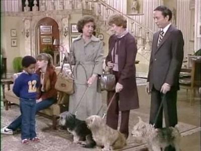 Diff'rent Strokes