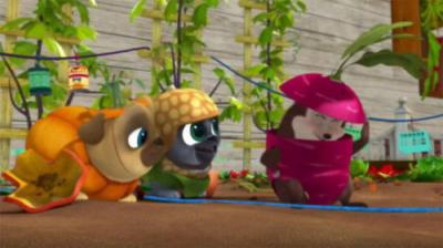 Puppy Dog Pals