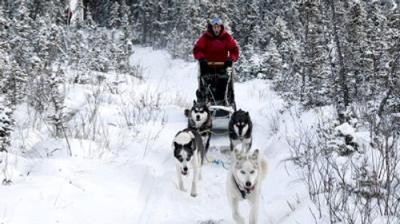 Life Below Zero