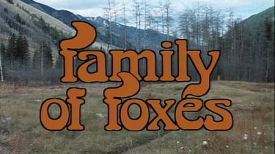 Marty Stouffer's Wild America