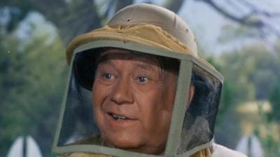 Petticoat Junction