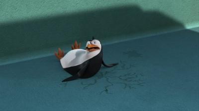 Madagaskaro pingvinai