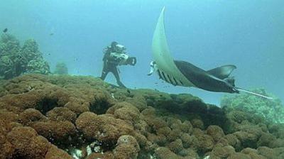 Natural World