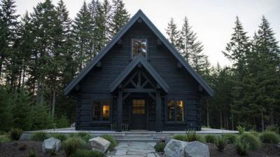 The Cabin Chronicles