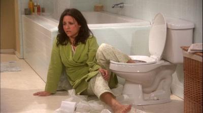 The New Adventures of Old Christine