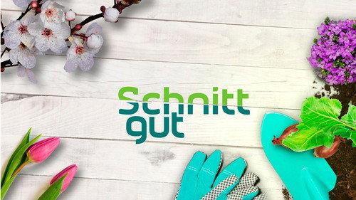 Schnittgut filmas žiurėti online