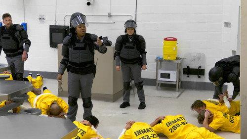 The New Stanford Prison Experiment filmas žiurėti online