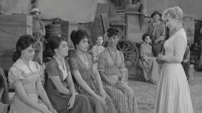 Wagon Train