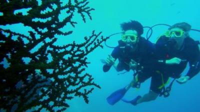 Below Deck Down Under