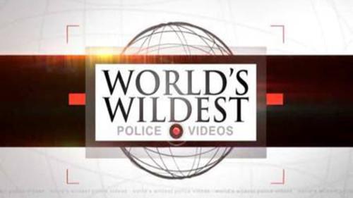 World's Wildest Police Videos filmas žiurėti online