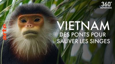 ARTE 360° Reportage